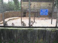 Абхазия, фото-отчёт: дорога, парки, хозяйства и неизбежный рокфишинг