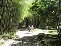 Абхазия, фото-отчёт: дорога, парки, хозяйства и неизбежный рокфишинг