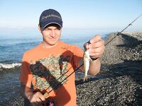 Абхазия, фото-отчёт: дорога, парки, хозяйства и неизбежный рокфишинг