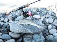 Абхазия, фото-отчёт: дорога, парки, хозяйства и неизбежный рокфишинг