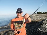 Абхазия, фото-отчёт: дорога, парки, хозяйства и неизбежный рокфишинг