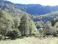 Абхазия, Кодор и озёра: червь, поплавочка 6 м — форель стабильно