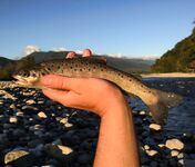 Абхазия осенью: Бзыбь, мечта о дикой форели и день рождения в походе