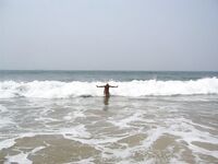 Рица мимо, горная речка с форелью по дороге: воды прозрачные, сад цитрусов