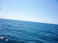 Крабы под ногами, морская собачка и звёздочёт — аккуратнее с ядовитым