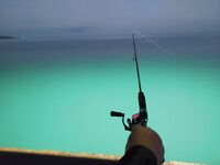 Пицунда «сдулась»: ставриды мало, в основном бычок и карась — но красиво