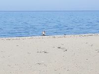 Про «нерегестрат»: доки бери, но по факту никому не нужен — уточнять стоит