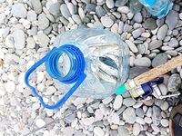 Первый ясный день: ставридка утром, вечером пусто — отводной и ставка