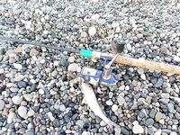 Первая барабулька — старт состоялся