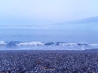 Утро 4:30–8:00: волна растёт, груз 10–15 г, карась и барабуля на проводке