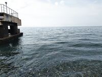 Лдзаа, Пицунда: ультралайт, булеры 3–5 г, отводной и вечерняя ставридка