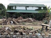 Лдзаа во время паводка: улицы под водой и хаос из деревьев