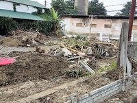 Лдзаа во время паводка: улицы под водой и хаос из деревьев