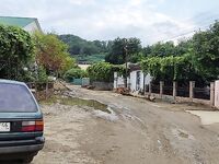 Лдзаа во время паводка: улицы под водой и хаос из деревьев