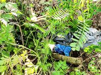 Гудаута без заморочек: вечерний фидер с пляжа, барабуля и жарка на решётке