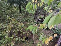 После шторма клевать будет лучше — держим снасти готовыми