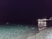 Пицунда, Морвокзал: «та самая» сошла, итого дюжина ласкирей и барабулька на отводной