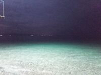 Пицунда, Морвокзал: «та самая» сошла, итого дюжина ласкирей и барабулька на отводной