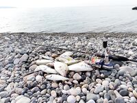 Пицунда, Морвокзал: «та самая» сошла, итого дюжина ласкирей и барабулька на отводной