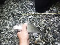 Дополняю заметки по снастям и точкам: правки в список — готово