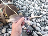 Дополняю заметки по снастям и точкам: правки в список — готово