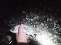 Дополняю заметки по снастям и точкам: правки в список — готово