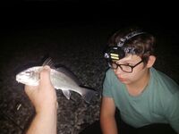 Дополняю заметки по снастям и точкам: правки в список — готово