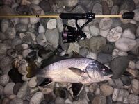 Вводные рыбалки: горбыль по вечерам, карась выходами, краб рвёт — финал достойный