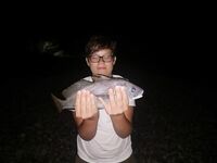 Вводные рыбалки: горбыль по вечерам, карась выходами, краб рвёт — финал достойный