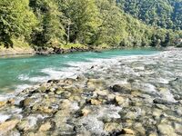 Абхазия как дом: осенью форель активнее, воблеры d-compact разноцвет — снасти ультралайт