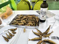 Пицунда, катамаран и кафе: ставрида на самодур, селёдка бонусом — жарили тут же