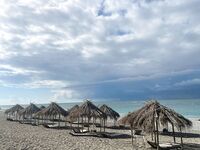 Пицунда, катамаран и кафе: ставрида на самодур, селёдка бонусом — жарили тут же