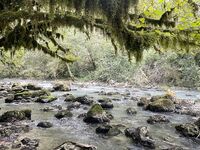 Абхазия после ливней: ждём, пока река отстоится, рыбалка продолжится