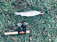 Абхазия после ливней: ждём, пока река отстоится, рыбалка продолжится