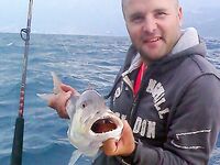 Черногория, биг-гейм с 1998: дневная и ночная, виллы и трансфер