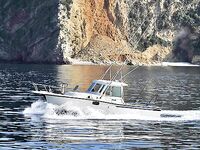 Черногория, биг-гейм с 1998: дневная и ночная, виллы и трансфер