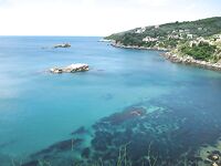 Черногория, биг-гейм с 1998: дневная и ночная, виллы и трансфер