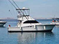 Адриатика, Хорватия: фотографии для отчёта