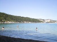 Остров Крк: лицензия 150 кун, снасти, насадки и почему покупал рыбу