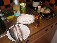 Остров Крк: лицензия 150 кун, снасти, насадки и почему покупал рыбу