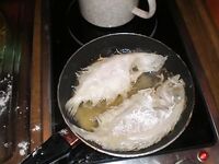 Остров Крк: лицензия 150 кун, снасти, насадки и почему покупал рыбу