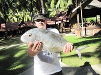 Андаманы, остров Хэвлок: GT до 15, барракуда 16, тунцы и груперы