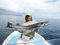 Андаманы, остров Хэвлок: GT до 15, барракуда 16, тунцы и груперы