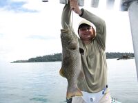 Андаманы, остров Хэвлок: GT до 15, барракуда 16, тунцы и груперы