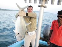 Андаманы, остров Хэвлок: GT до 15, барракуда 16, тунцы и груперы