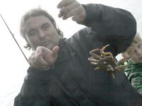 Авачинская бухта и океан: колонии птиц, камбала и разноцветный прилов