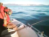 «Кольская Карусель» на Камчатке: разборная снасть и окунь-капитан