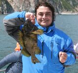 Русская бухта, Тихий океан: окунь-капитан, терпуг и лунь