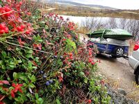 Первое знакомство с Баренцевым: палатки, дикарями и полный восторг
