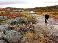 Первое знакомство с Баренцевым: палатки, дикарями и полный восторг